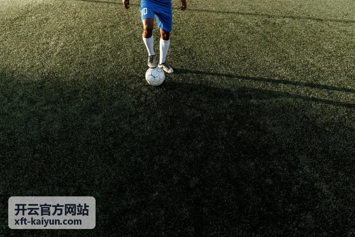 开云数据洞察会员服务用户头像